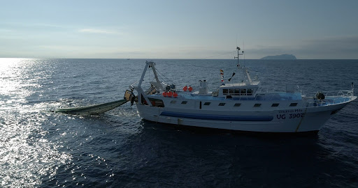 Finanziamento a fondo perduto per le imprese che esercitano la pesca attiva dei  piccoli pelagici - Valentino Grant